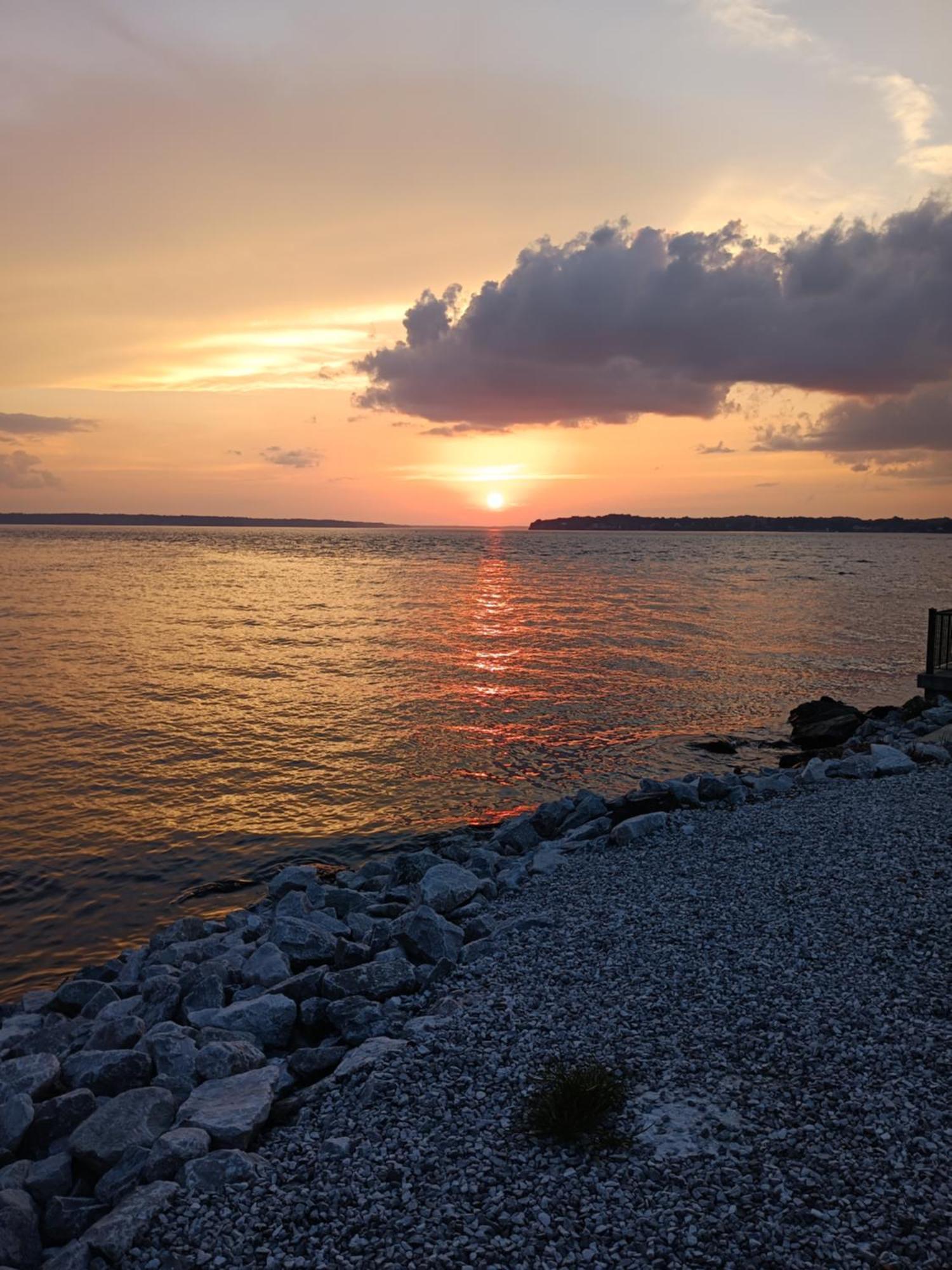 The Gemini-A Dreamy, Waterfront Tiny Cabin Rogersville Eksteriør billede